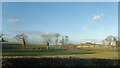 Farmland on the north side of the A25 in the Townland of Creeghduff