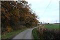 The road to Burton Coggles