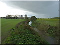 River Tern south of Crudgington Bridge