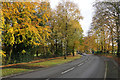 Hale Road passing Halecroft Park