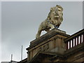 Fibreglass lion