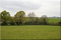 SX8769 : Pasture, Aller Brook by N Chadwick