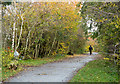 Path through Watergate Forest park