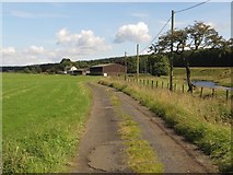 NY6671 : Track to Horseholme by Graham Robson