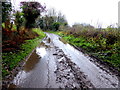 H4076 : Surface water along Dunwish Road by Kenneth  Allen