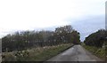 Copse west of The Neuk cottages