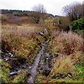 Hillside brook near Painters Row, Ynyswen