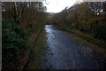 River Rod outflow from Roddlesworth reservoir