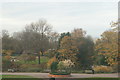 View of Lloyd Park from the William Morris Gallery