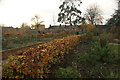 View of the garden at the rear of the William Morris Gallery