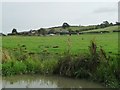 Barby Wood Farm, below Barby Hill