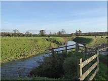 ST5532 : River Brue at Tootle Bridge by David Smith