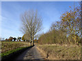 Lane heading west from Shelley Priory Farm