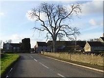 ST5230 : Road junction at Lower Farm, Kingweston by David Smith