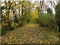 Old railway track at East Town Park