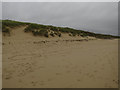 TG4227 : Growing sand dunes, Sea Palling by Hugh Venables