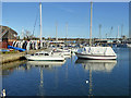 Orwell Yacht Club moorings