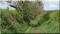 Sunken track running NW from Swynnerton