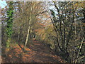 Autumn on path by River Dart in Totnes