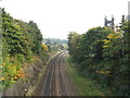 View from Branch Street Bridge MLV3/84