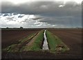 Drain to the north of Thorn Bank