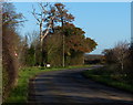 Heading north along the lane to Cropwell Bishop