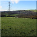 Electricity pylon in a field near Bettws