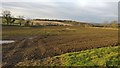 Farmland near the Debdale Spinney