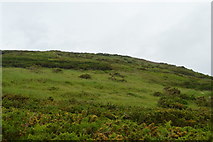 SX5048 : Slope above Wembury Point by N Chadwick
