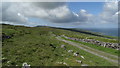 M1405 : On The Burren - The Black Head Loop NE of Faunarooska (View SW) by Colin Park