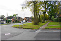 Wide green verge at the bottom of Wilmott Road