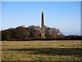 NZ3275 : Obelisk 900m south of Seaton Delaval Hall by Andrew Curtis