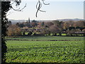 Epperstone church from Hagg Lane