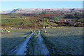 A view towards Reeth