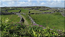L9702 : Inisheer - View W from near O'Brien's Castle by Colin Park