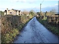 Country road at Penallt