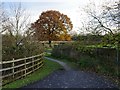 Bridleway to Lucas Lane