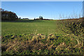 Looking towards Broompark