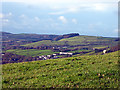 A view towards Penllwyn from Pant Da Woods