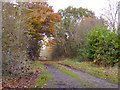 Track with barrier off Newbridge Road