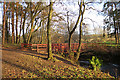 Bridge over the Annaty Burn