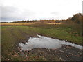 Field by Grubbs Lane, Woodside