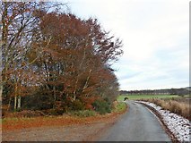 NJ8130 : Minor road to Balgove by Stanley Howe