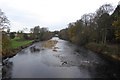 River Wharfe from the bridge