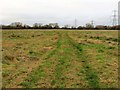 The footpath across South Hinksey Meadow