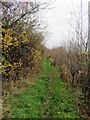 Footpath from South Hinksey