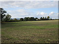 View towards The Rectory, Pendock