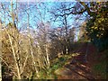 Steps in Macrosty Park, Crieff