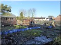 Allotments at Hagg Bank