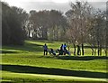 Golfers on Hallowes golf course